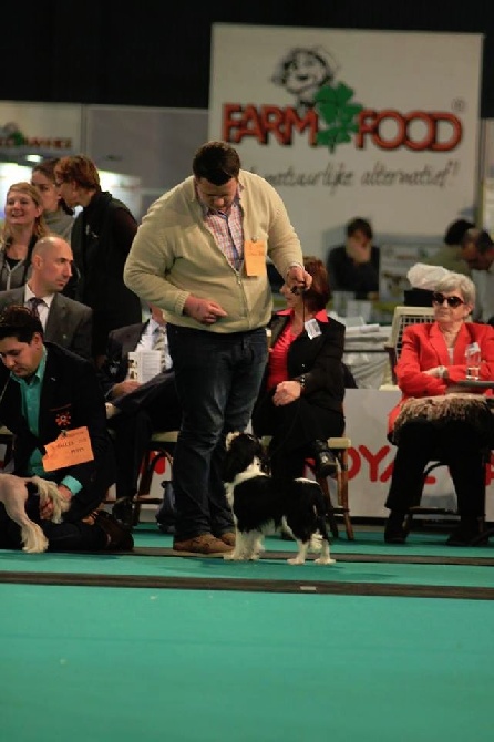 Le Chemin de Falwen - Eurodogshow - une magnifique journée avec de superbes résultats